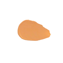 Load image into Gallery viewer, The Correcting Concealer - Salmon 2